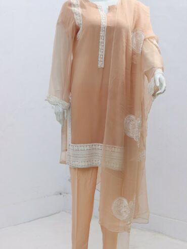 Pure Indian Chiffon Fabric Beautiful Embroidery Design 3 Piece Suit